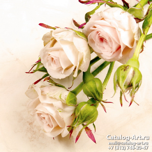 Натяжные потолки с фотопечатью - Розовые розы 39